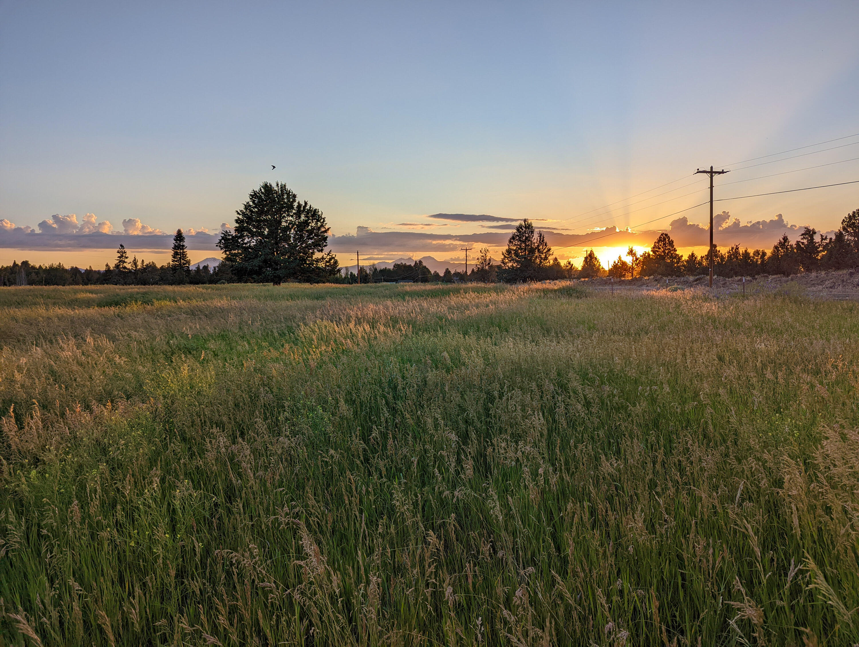 61365 Ward Road Bend, OR 97702 - Photo 61 of 71 PXL_20220715_033154078