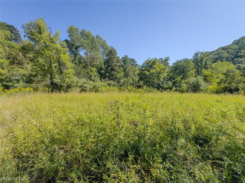 0 Brewer Road Cadiz, OH 43907 - Photo 10 of 37 View of local wilderness