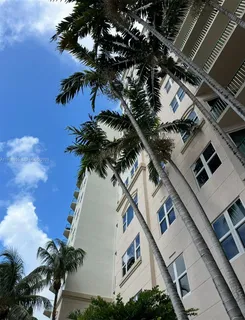 a picture of a tree with a yard