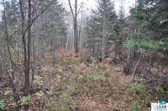 26335 Engoe Road Washburn, WI 54891 - Photo 11 of 21 Gallery Image 11