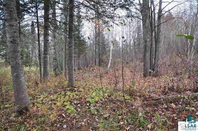 26335 Engoe Road Washburn, WI 54891 - Photo 12 of 21 Gallery Image 12