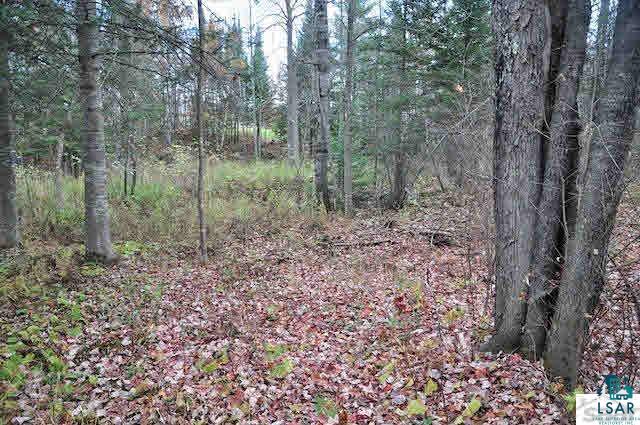 26335 Engoe Road Washburn, WI 54891 - Photo 13 of 21 Gallery Image 13