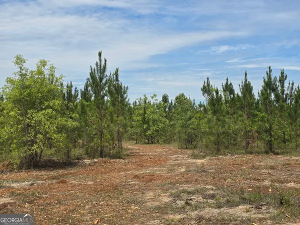 a view of a yard with trees in front of it