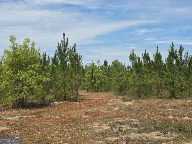 a view of a yard with trees in front of it