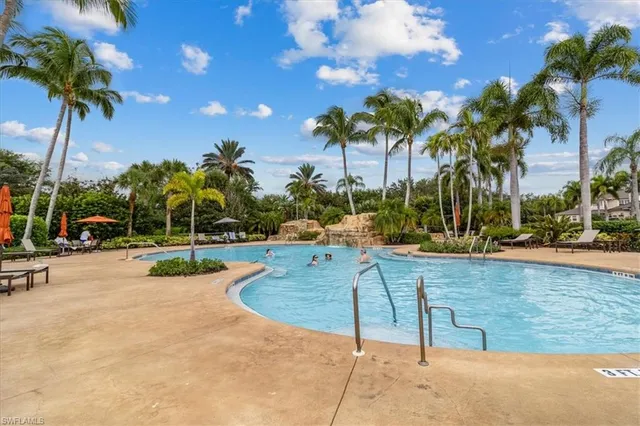a view of a swimming pool with a lawn chairs and palm tree