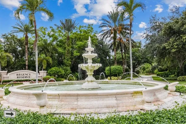 a view of a park with palm trees