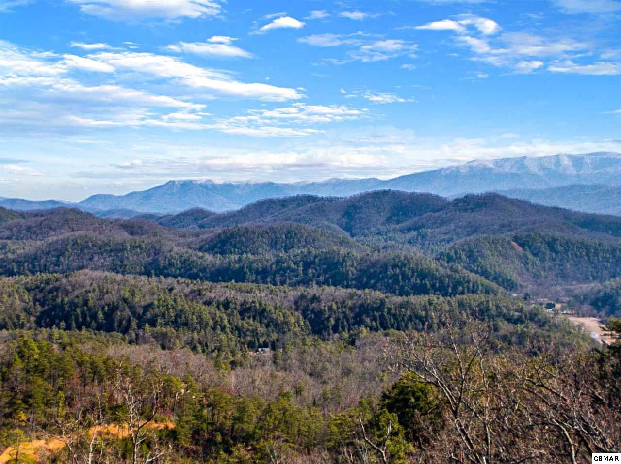 929 Autumn Ridge Way Sevierville, TN 37876 - Photo 4 of 36