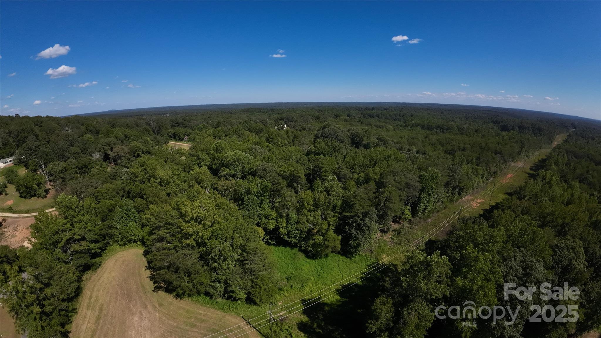 0 Old Chester Road Blacksburg, SC 29702 - Photo 2 of 16 a view of a yard with a tree