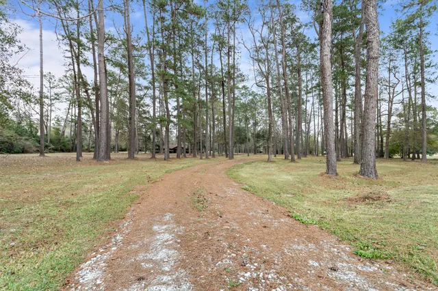 $320,000 | 14428 Farm To Market 787, Saratoga, TX 77585