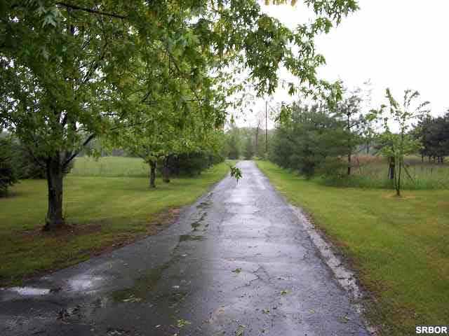 7799 North Upton Road Elsie, MI 48831 - Photo 8 of 9 40472-7.JPG
