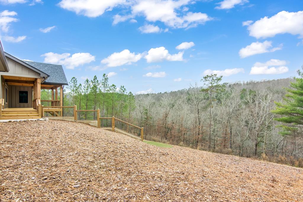 2468 Twisted Oak Road Talking Rock, GA 30175 - Photo 52 of 67
