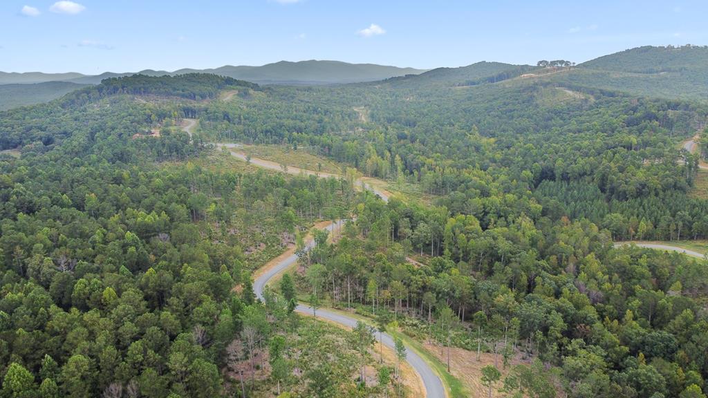 2468 Twisted Oak Road Talking Rock, GA 30175 - Photo 53 of 67 a view of a mountain range with trees