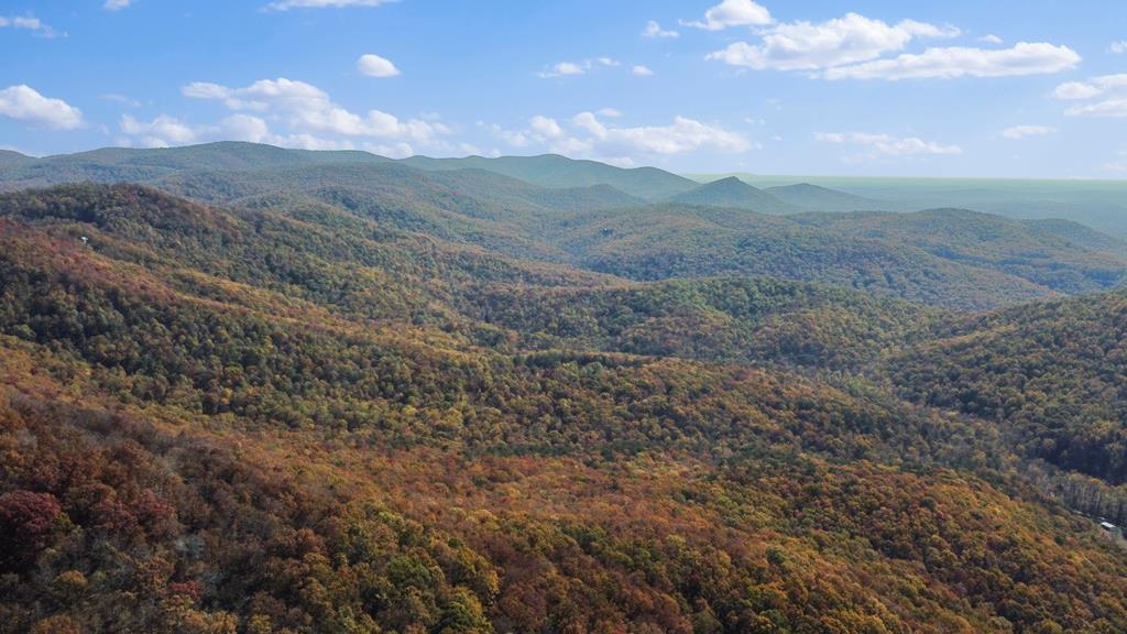 2468 Twisted Oak Road Talking Rock, GA 30175 - Photo 54 of 67