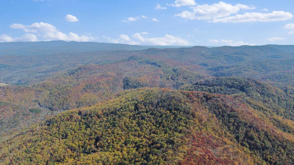 2468 Twisted Oak Road Talking Rock, GA 30175 - Photo 55 of 67 a view of a dry yard with mountains in the background
