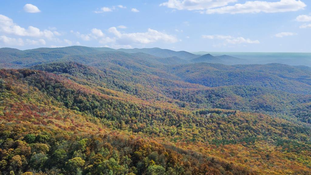 2468 Twisted Oak Road Talking Rock, GA 30175 - Photo 56 of 67 a view of mountains and valleys