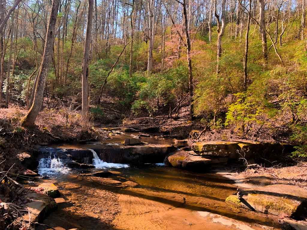 2468 Twisted Oak Road Talking Rock, GA 30175 - Photo 67 of 67