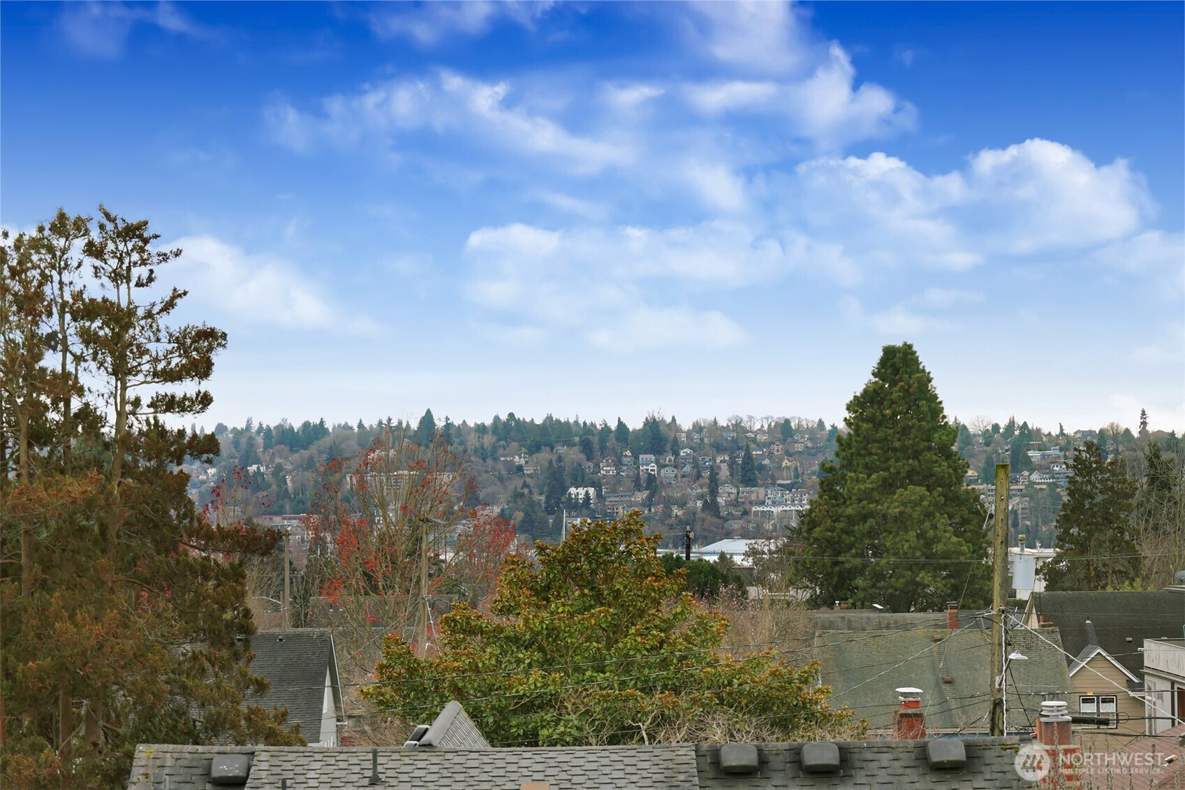 809 Northwest 58th Street Seattle, WA 98107 - Photo 25 of 40 Gallery Image 25