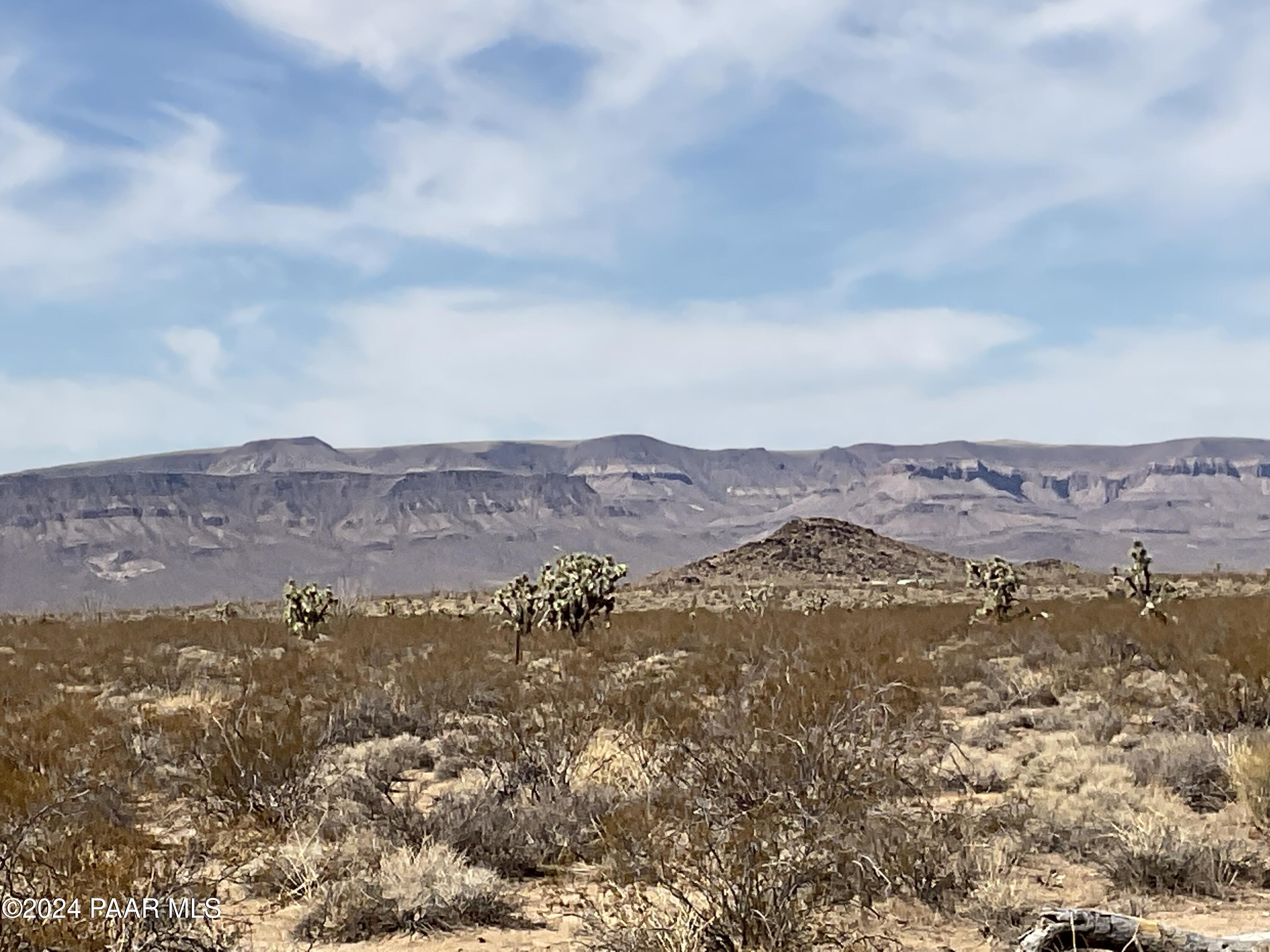 12-13 Rubles Road Yucca, AZ 86438 - Photo 2 of 6 Land