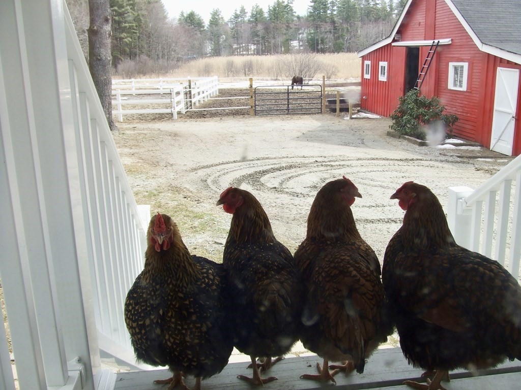 54 Crane Crossing Road Newton, NH 03858 - Photo 11 of 40 Gallery Image 11