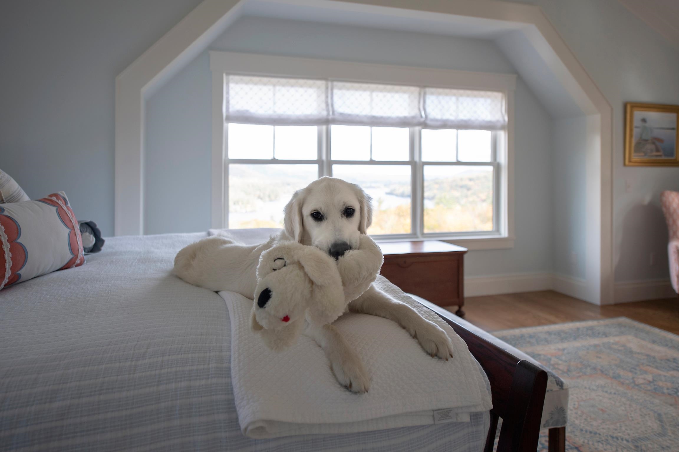 68 Ridge Road Ashland, NH 03217 - Photo 28 of 51