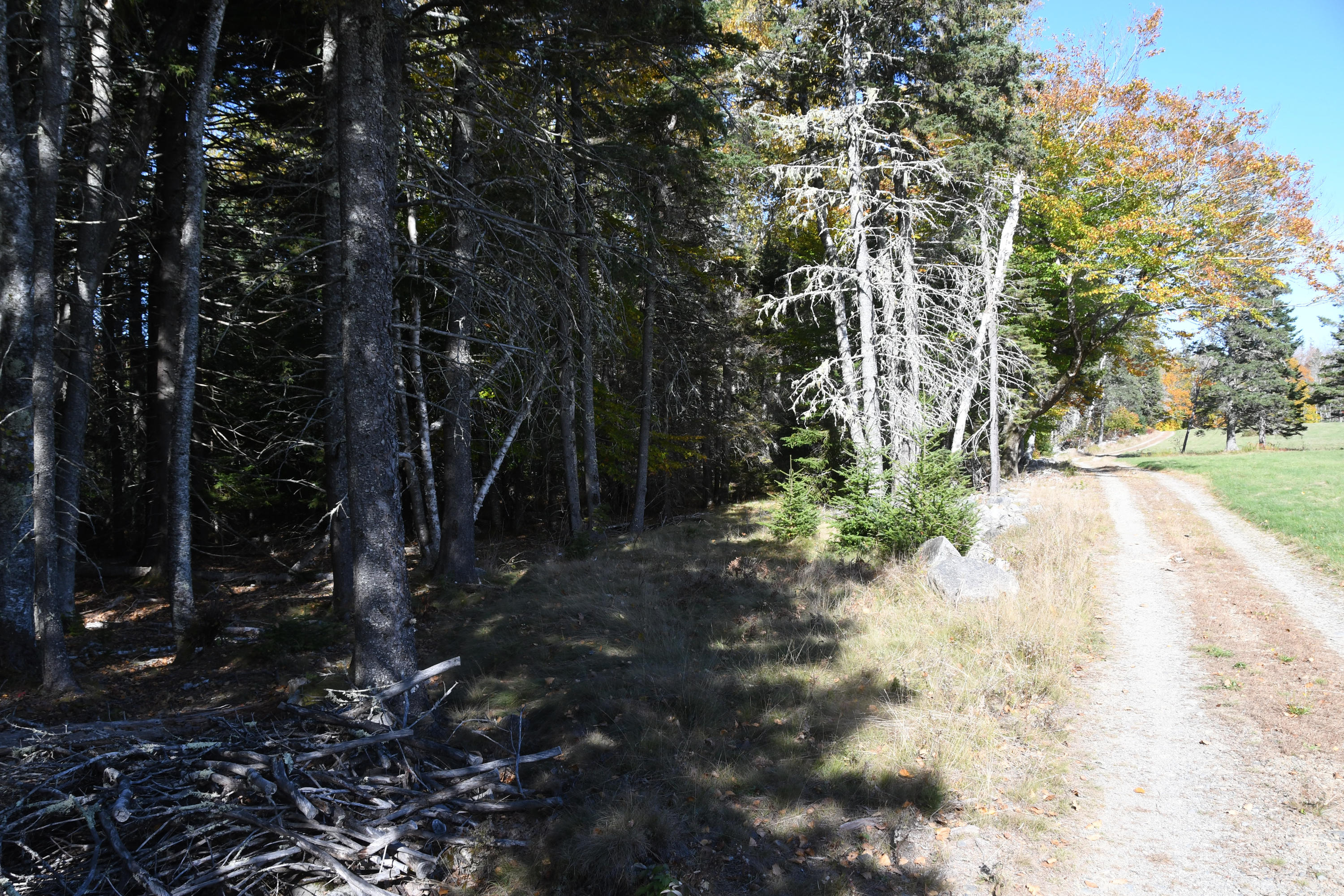 01 North Deer Isle Road Deer Isle, ME 04627 - Photo 13 of 34 20171021_AnneKeck_005