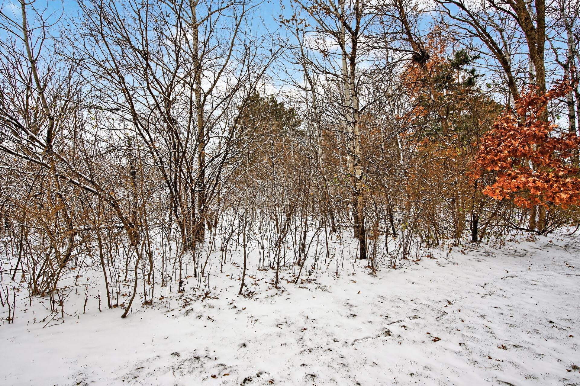 6947 Archer Trail Inver Grove Heights, MN 55077 - Photo 40 of 45
