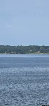 a view of an ocean beach and mountain