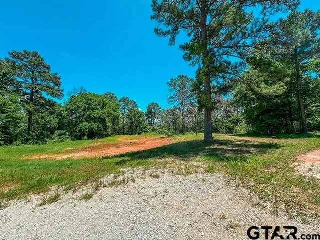 a view of a backyard with green space