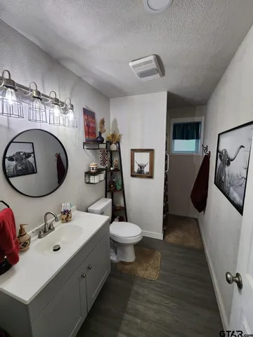a bathroom with a sink mirror and toilet