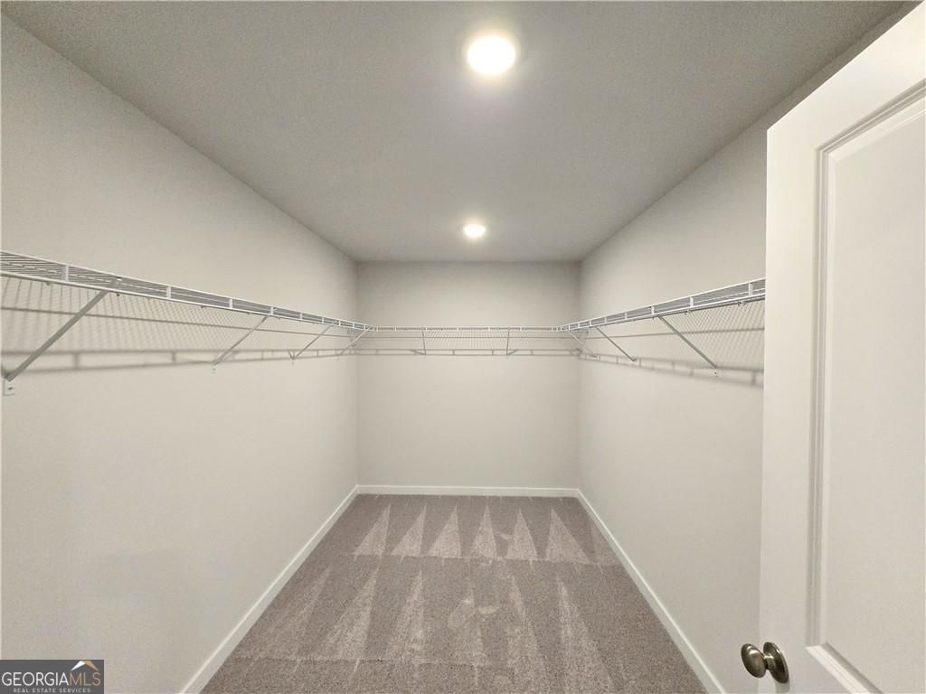 118 Wildflower Ridge Road Dallas, GA 30132 - Photo 23 of 26