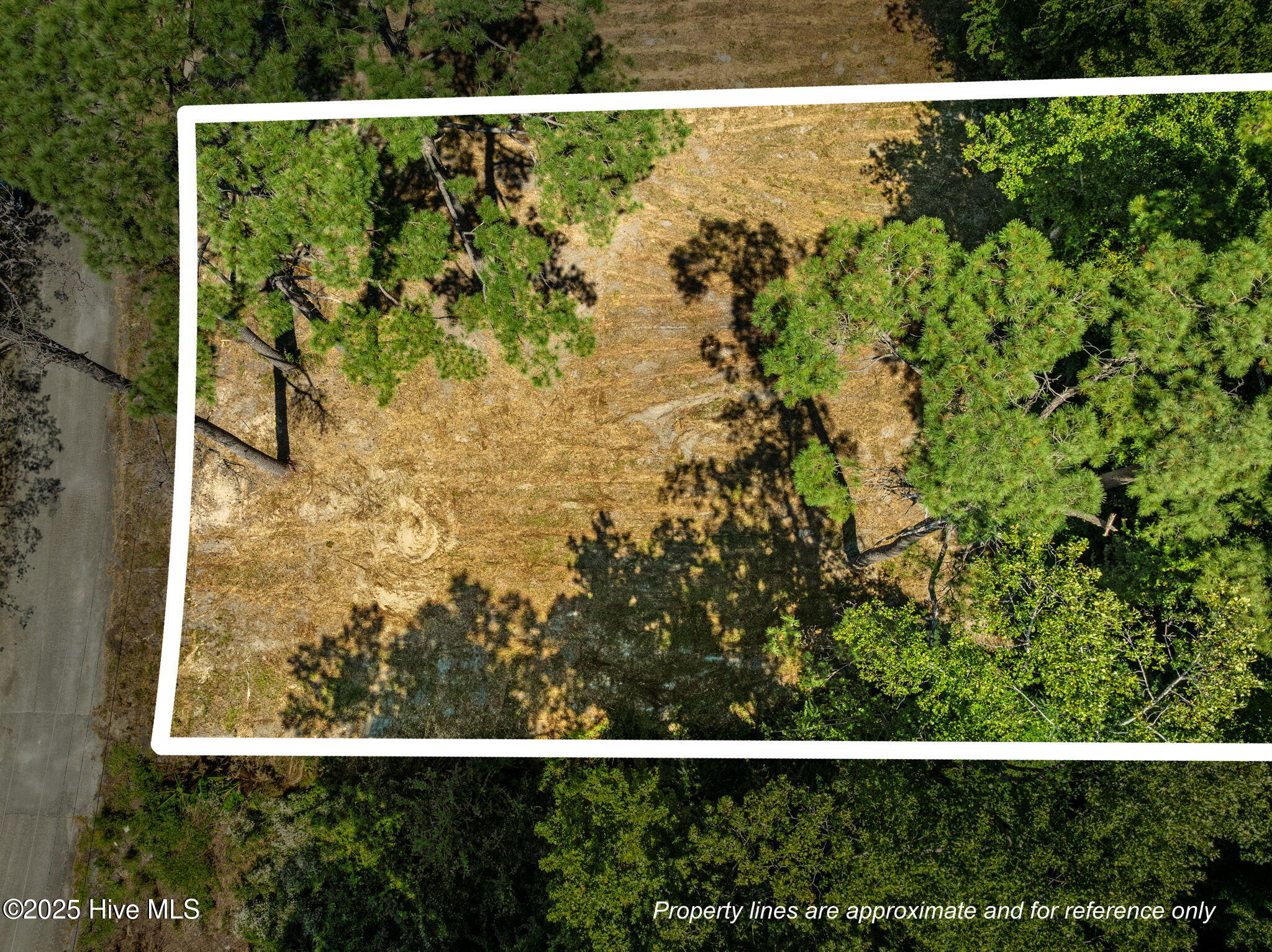 17-web-or-mls-Property Lines_1