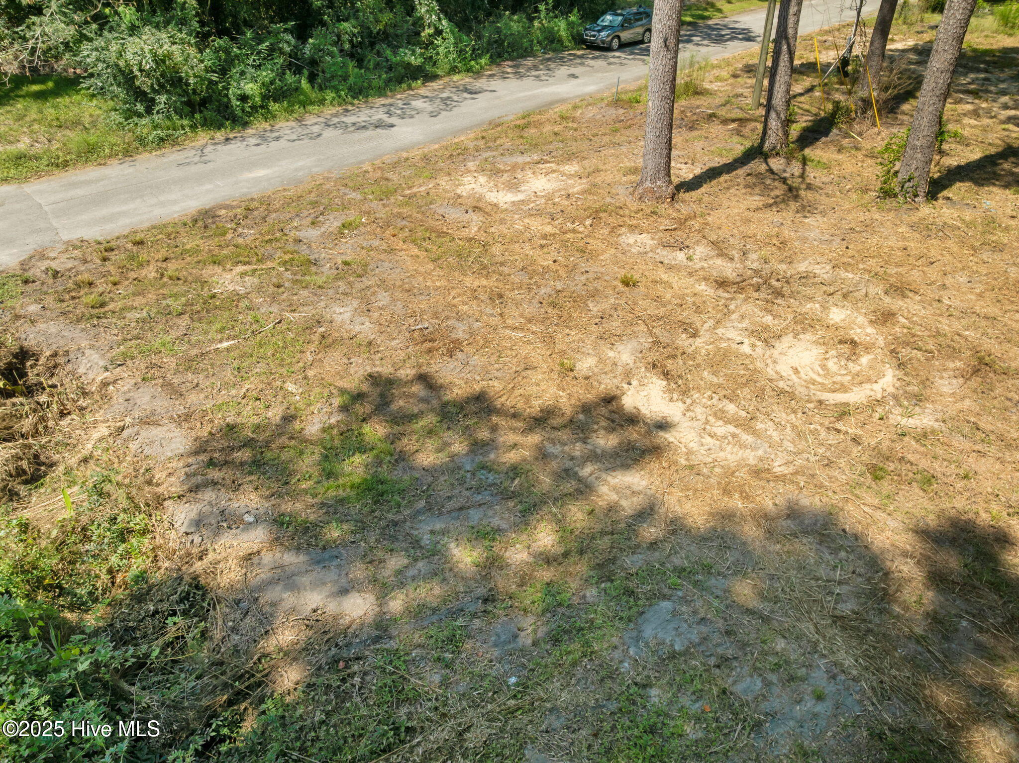 124 Jupiter Trail Jacksonville, NC 28546 - Photo 11 of 17 10-web-or-mls-10