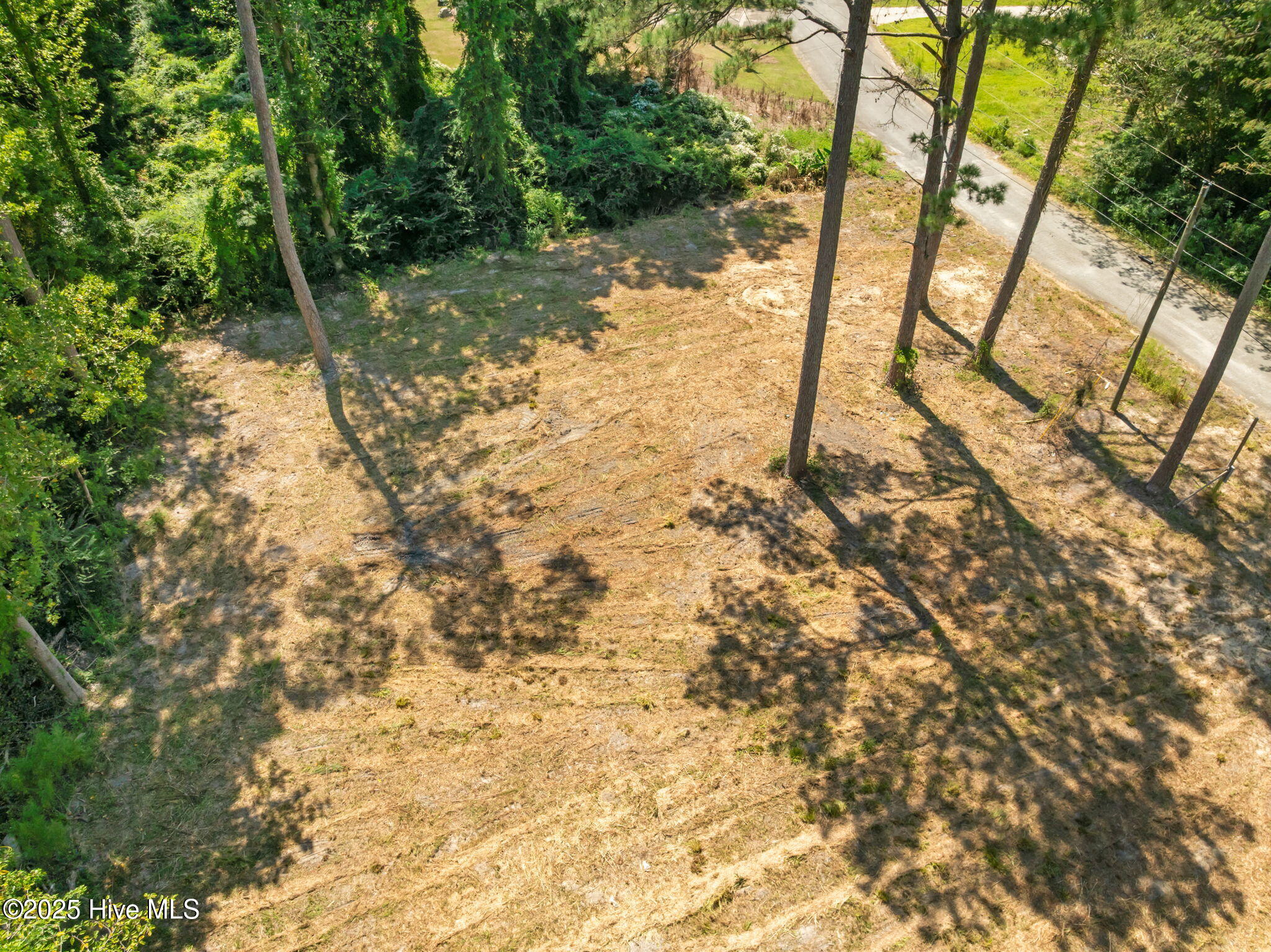 124 Jupiter Trail Jacksonville, NC 28546 - Photo 12 of 17 11-web-or-mls-11