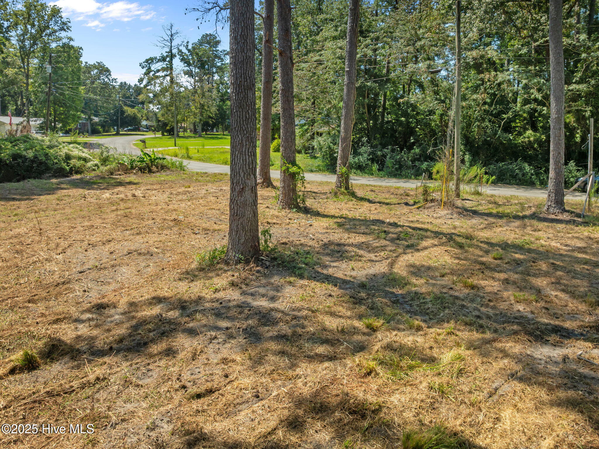 124 Jupiter Trail Jacksonville, NC 28546 - Photo 8 of 17 7-web-or-mls-06