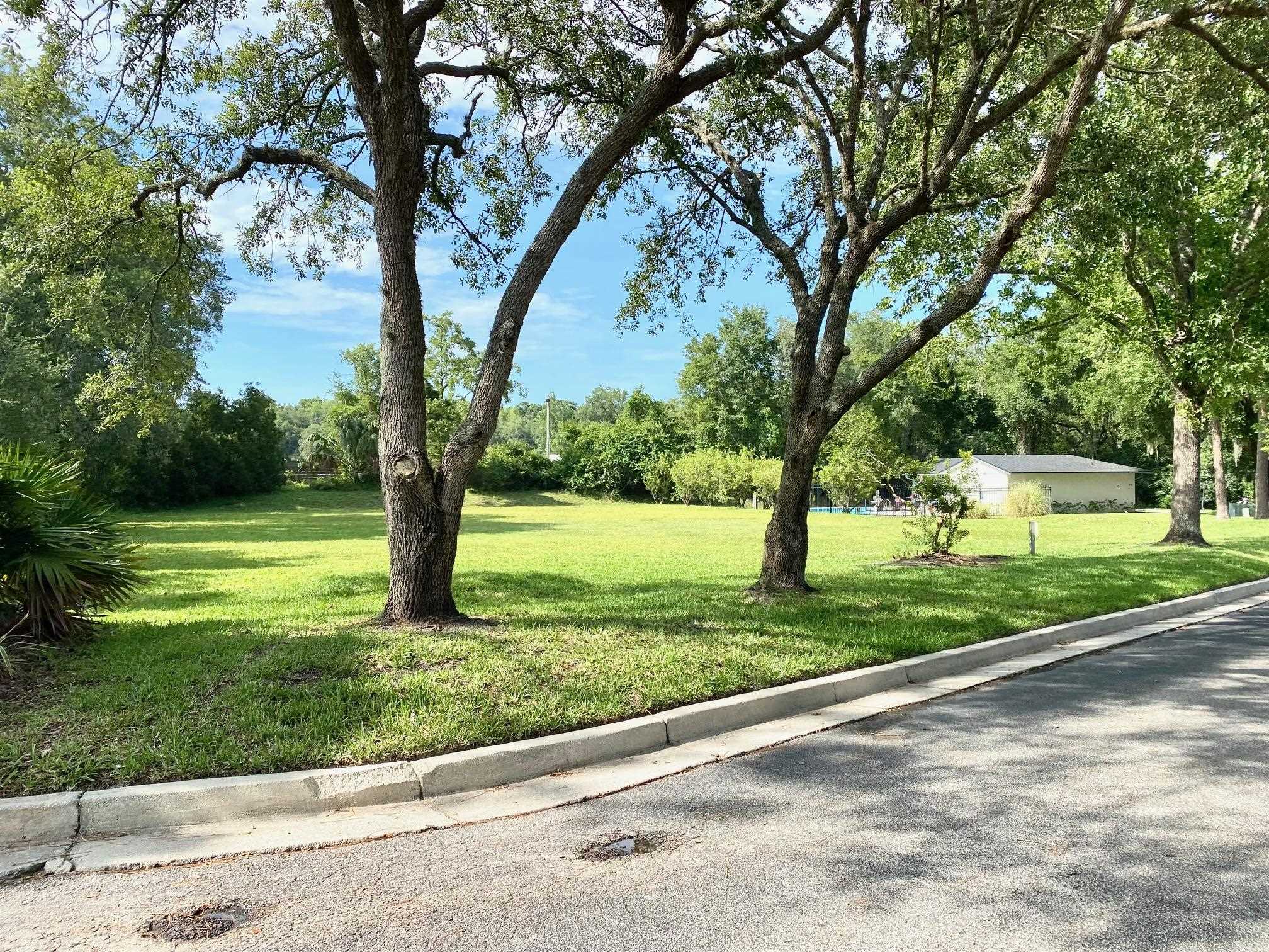 4 Moultrie Creek Circle St. Augustine, FL 32086 - Photo 4 of 55 a view of a garden with a tree
