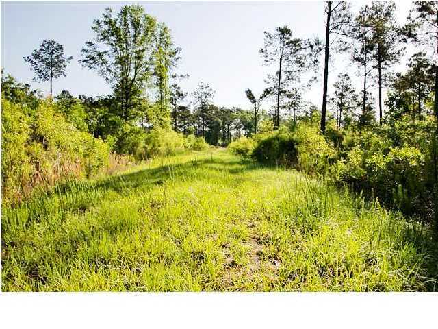 1099 Yerby Road Summerville, SC 29483 - Photo 1 of 6 Primary Photo