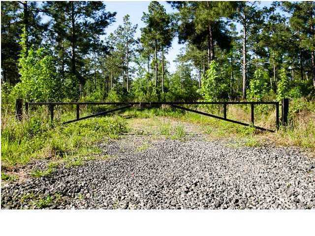 1099 Yerby Road Summerville, SC 29483 - Photo 2 of 6 Additional Photo