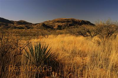 0 Salero Canyon Road Tubac, AZ 85646 - Photo 3 of 7 Gallery Image 3