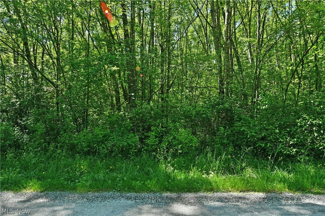 Airport Road Northwest Warren, OH 44481 - Photo 19 of 19