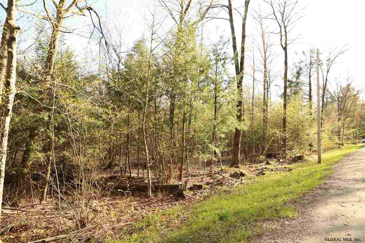 0 North Road Middle Grove, NY 12850 - Photo 1 of 5 Photo 1