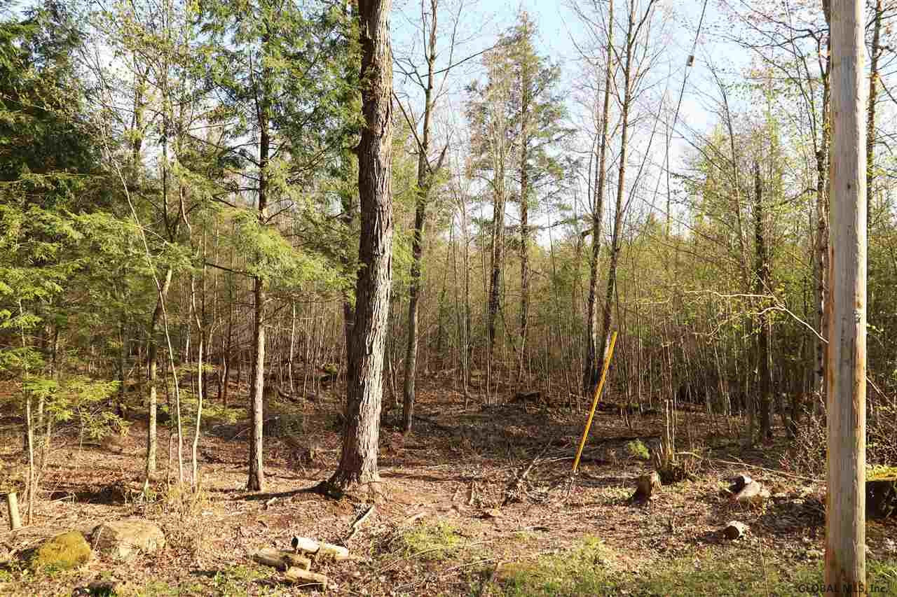 0 North Road Middle Grove, NY 12850 - Photo 2 of 5 Photo 2