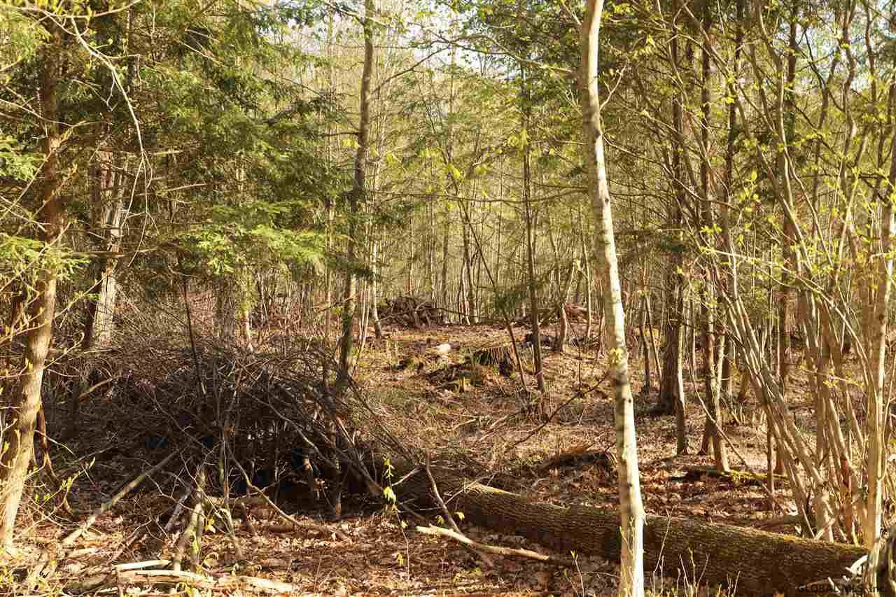 0 North Road Middle Grove, NY 12850 - Photo 3 of 5 Photo 3