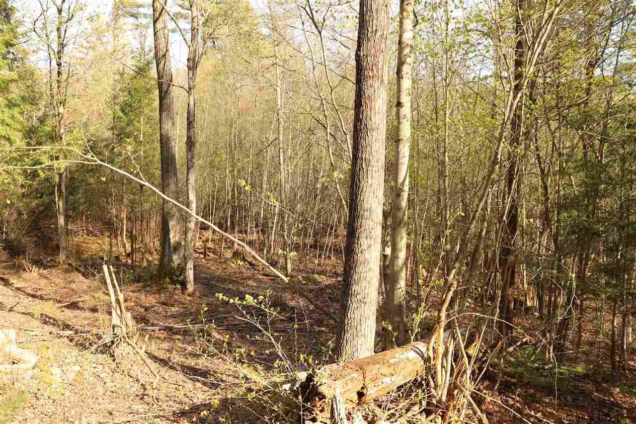 0 North Road Middle Grove, NY 12850 - Photo 4 of 5 Photo 4