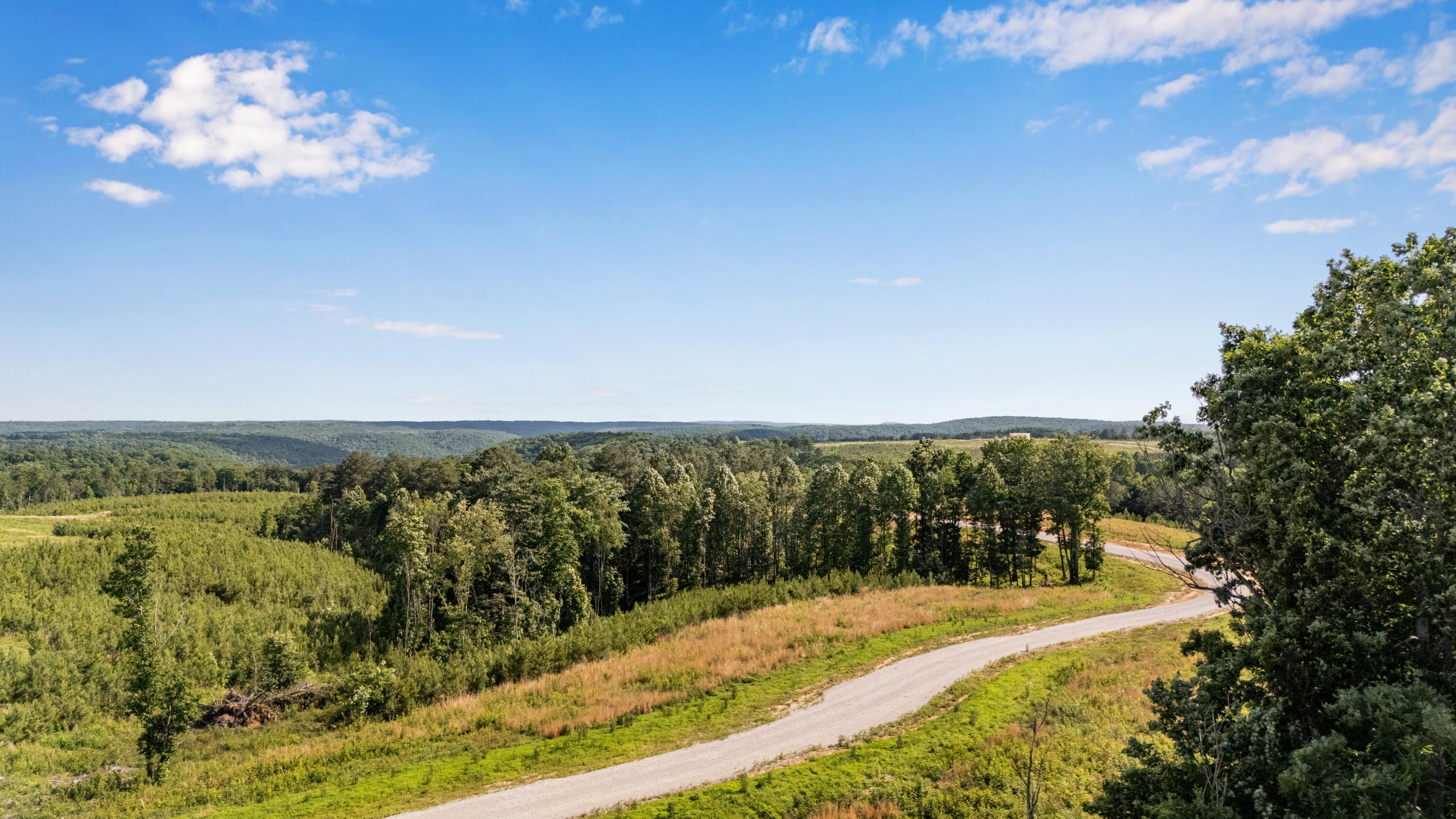 0 Saddleback Road, Unit 48 Dunlap, TN 37327 - Photo 14 of 21 DJI_20260602172718_0273_D-HDR