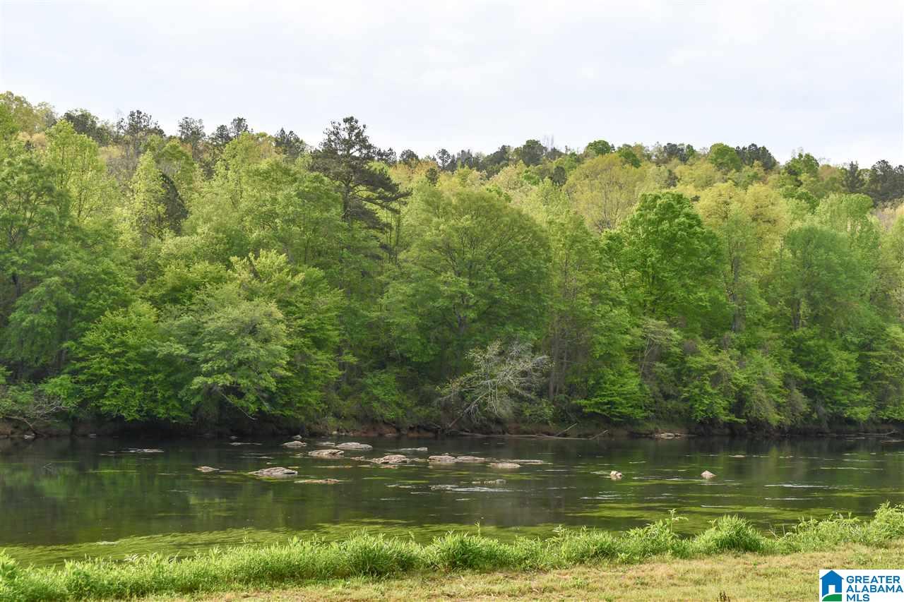 4205 County Road 15 Wadley, AL 36276 - Photo 8 of 29