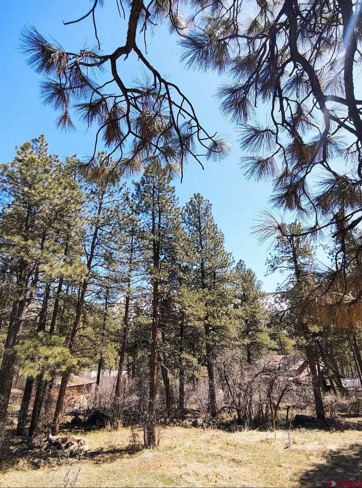 360 Sortais Road Durango, CO 81301 - Photo 35 of 36 a view of a yard with a tree