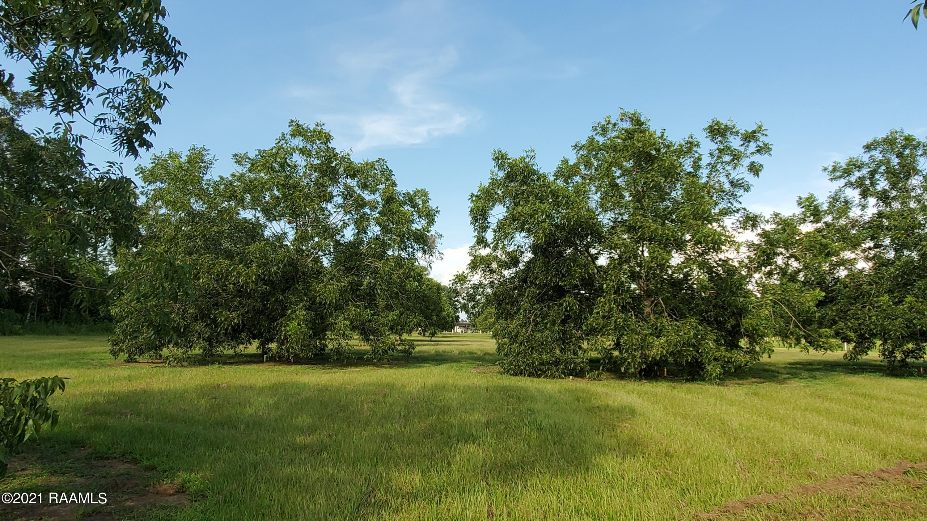 0 Gloria Kern Road Breaux Bridge, LA 70517 - Photo 22 of 25