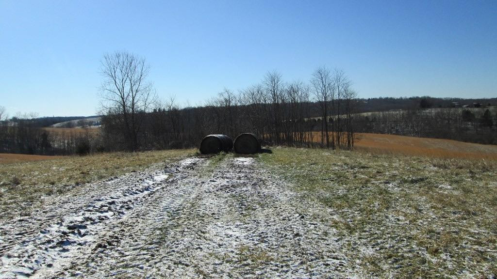 2811 Bridgeville Road Brooksville, KY 41004 - Photo 2 of 14 Listing Photo