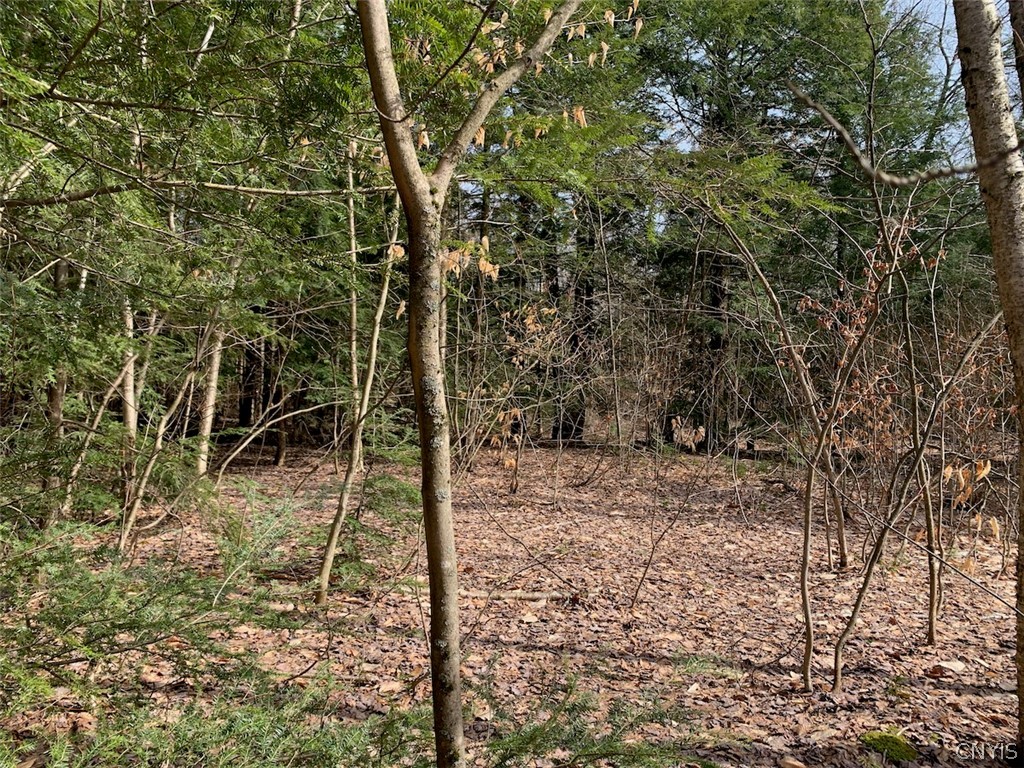 Off Hong Kong Road Parish, NY 13131 - Photo 10 of 12