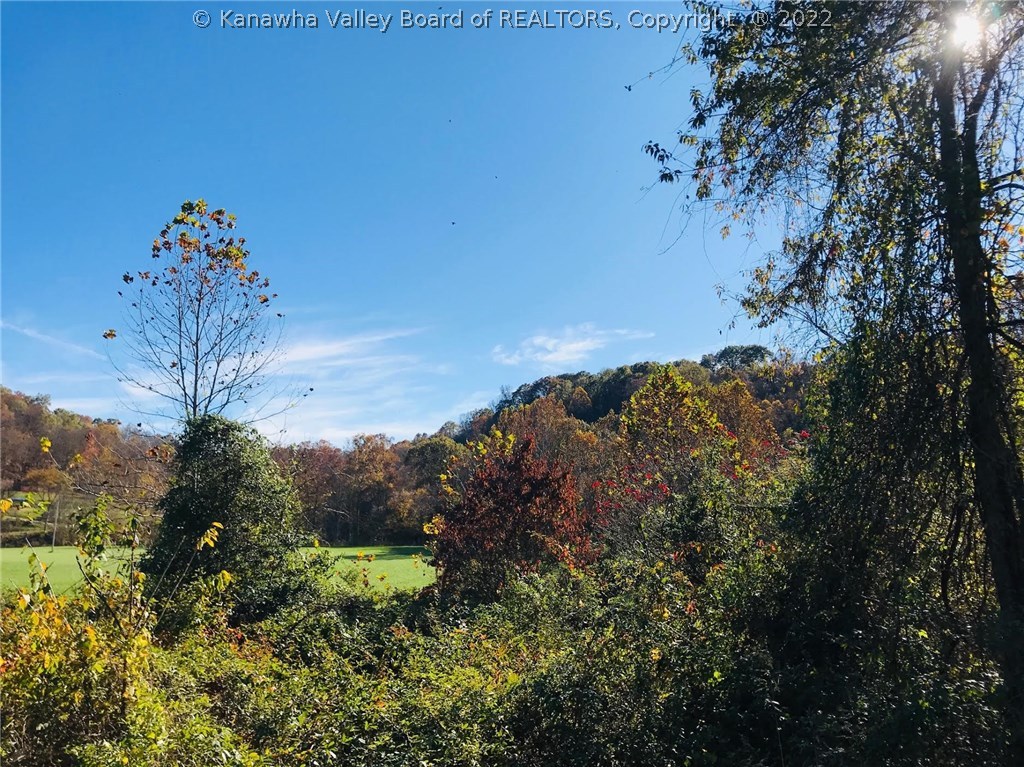 5597 Little Sandy Road Ravenswood, WV 26164 - Photo 21 of 21 Gallery Image 21